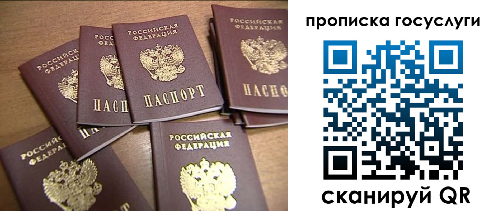 прописка для работы в Светогорске