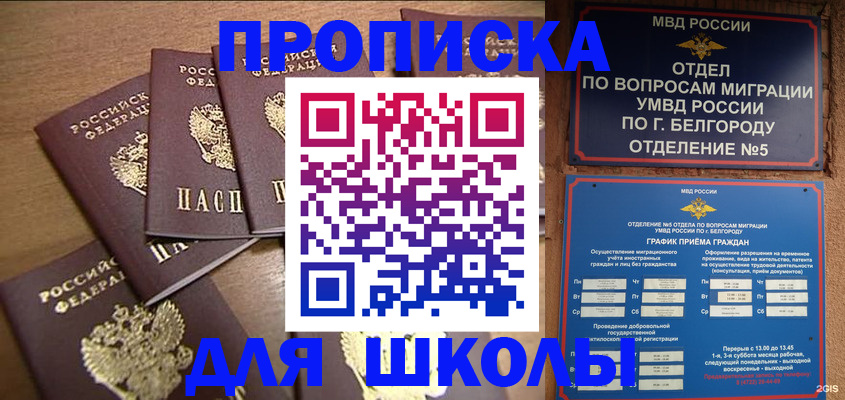 прописка гарантия в Светогорске